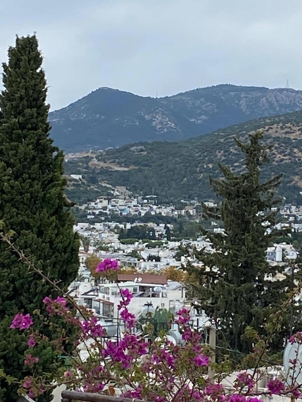 Izan Villa Bakis Apartments Bodrum Zewnętrze zdjęcie